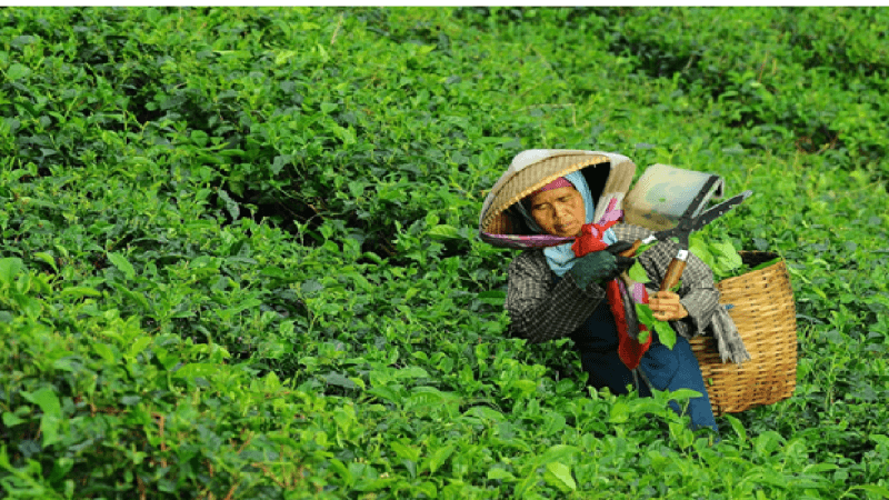 SDG 10 - Δείχνουμε συνείδηση, αγοράζουμε συνειδητά